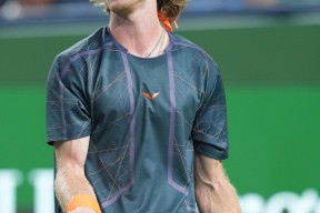 YIHAO-关于德约科维奇爆冷击败MAD，绝杀引爆全场！的信息